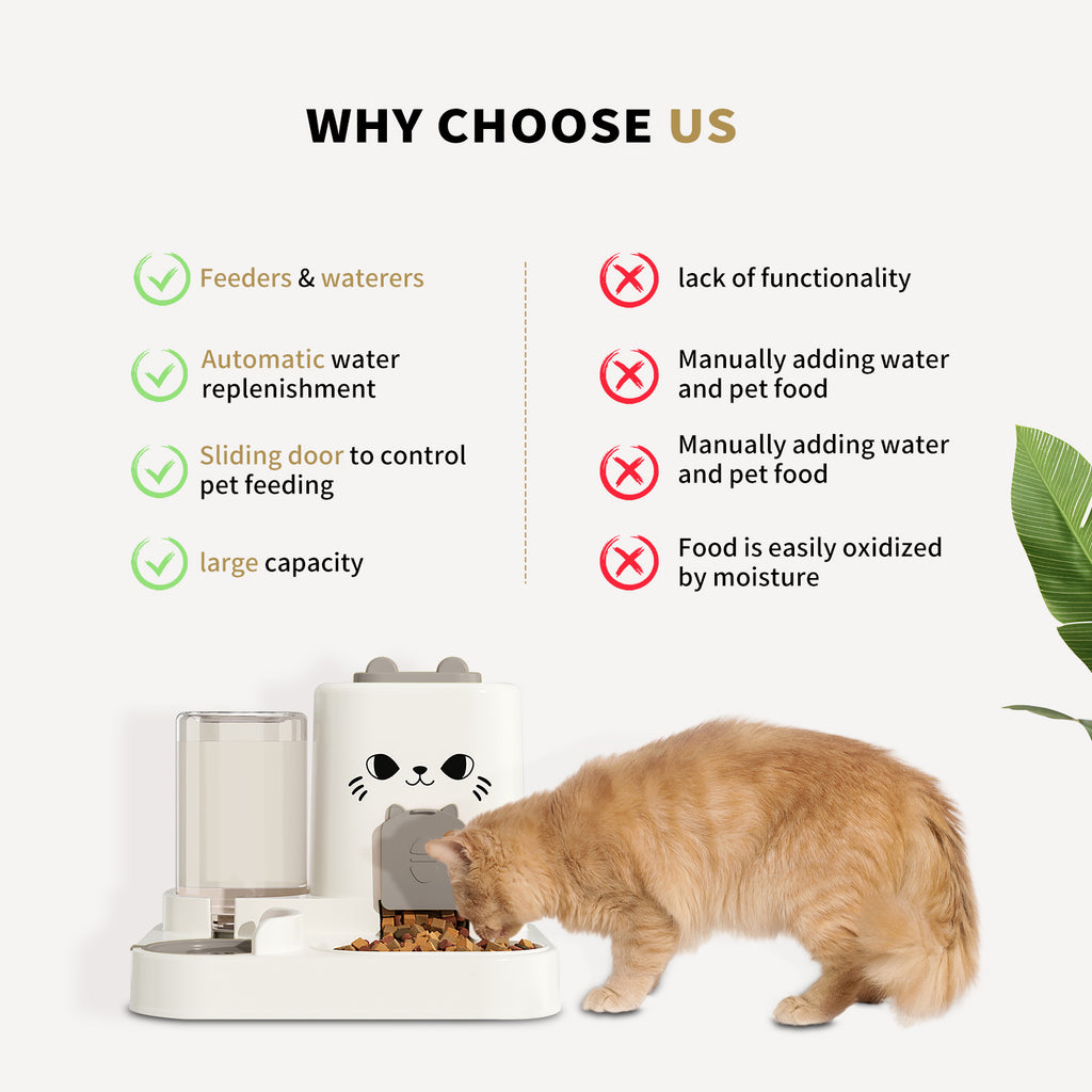 2-in-1 Automatic Cat Feeder And Water Dispenser