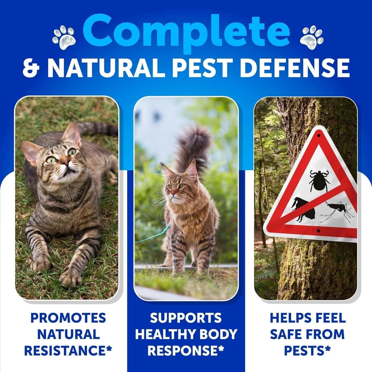 Flea Treatment For Cats Natural Flea And Tick Prevention Supplement For Cats Kittens Chewable Daily Oral Pills With Vitamins